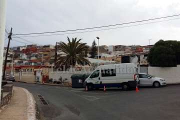 Vecinos de Playa del Hombre denuncian la tala de palmeras canarias en un solar privado (Foto TA)