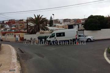 Vecinos de Playa del Hombre denuncian la tala de palmeras canarias en un solar privado (Foto TA)