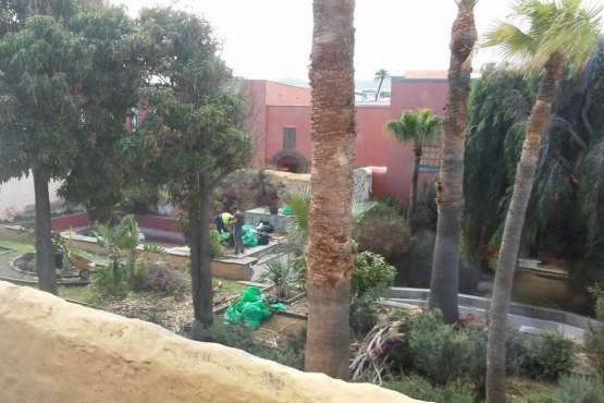 Nueva acción de choque para limpiar los jardines de la Casa Condal de Telde (Foto TA)