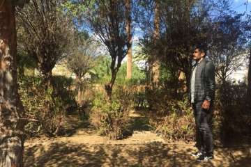 Nueva acción de choque para limpiar los jardines de la Casa Condal de Telde (Foto TA)