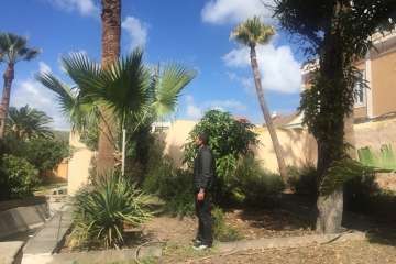 Nueva acción de choque para limpiar los jardines de la Casa Condal de Telde (Foto TA)