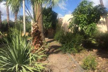 Nueva acción de choque para limpiar los jardines de la Casa Condal de Telde (Foto TA)