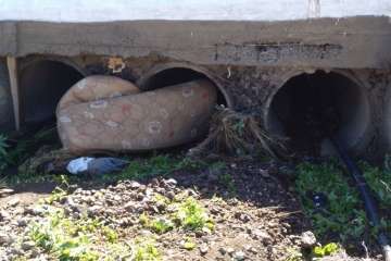 Protección Civil tuvo que retirar palets y colchones en Ojos de Garza (Foto TA)