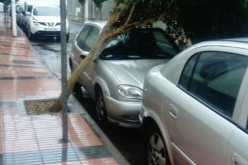 El árbol cayó sobre un coche en Marpequeña (Foto TA)