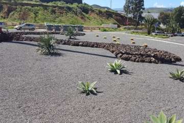 Las rotondas de Telde cambian de 'look' (Foto TA)