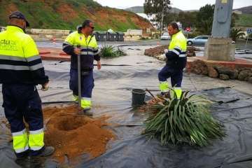 Las rotondas de Telde cambian de 'look' (Foto TA)