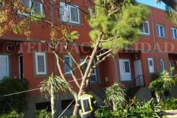 Los bomberos, actuando esta tarde en un residencial del Callejón del Castillo (Foto TA)