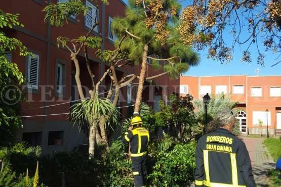 Los bomberos, actuando esta tarde en un residencial del Callejón del Castillo (Foto TA)