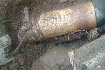 Árboles nocivos en Telde (Foto TA)