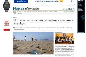 Alerta en Huelva por la llegada de cientos de medusas venenosas (Foto TA)