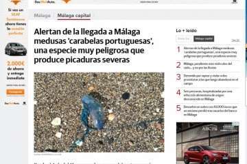 Alerta en Málaga por la arribada de este organismo tóxico (Foto TA)