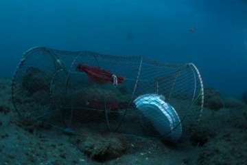 La basura amenaza a los fondos marinos de Telde (Foto IV Open FotoSub Telde)