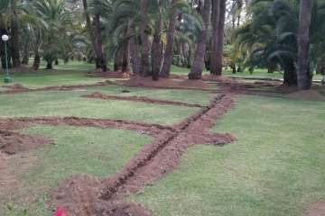 Turcón pide la paralización de unas obras de RIU en el Palmeral de Maspalomas (Foto cedida por Turcón)