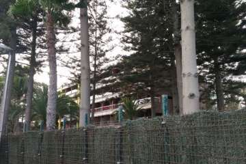 Turcón pide la paralización de unas obras de RIU en el Palmeral de Maspalomas (Foto cedida por Turcón)