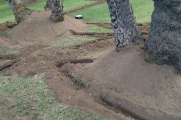 Turcón pide la paralización de unas obras de RIU en el Palmeral de Maspalomas (Foto cedida por Turcón)