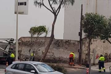 El peligroso árbol fue talado este lunes (Foto TA)