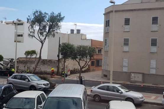 El peligroso árbol fue talado este lunes (Foto TA)