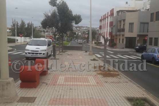 Parques y Jardines sustituye árboles por hibiscos en Salinetas con críticas ecologistas (Foto TA)