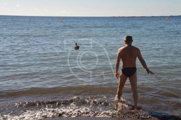 Aparece un cisne negro nadando en aguas de Salinetas (Foto TA)