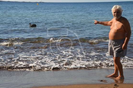 Aparece un cisne negro nadando en aguas de Salinetas (Foto TA)