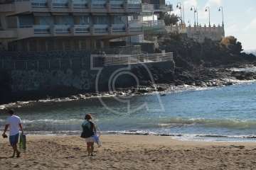 Aparece un cisne negro nadando en aguas de Salinetas (Foto TA)