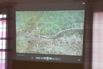 La Gavia se informa sobre la culebra real (Foto TA)