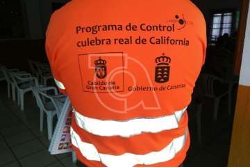 La Gavia se informa sobre la culebra real (Foto TA)