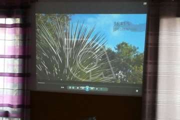 La Gavia se informa sobre la culebra real (Foto TA)