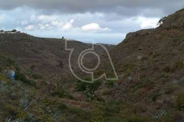 La Gavia se informa sobre la culebra real (Foto TA)
