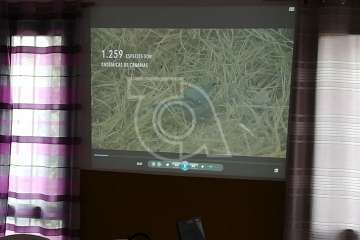 La Gavia se informa sobre la culebra real (Foto TA)