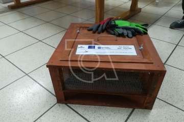 La Gavia se informa sobre la culebra real (Foto TA)