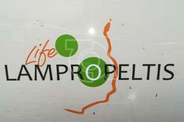 La Gavia se informa sobre la culebra real (Foto TA)