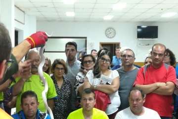 La Gavia se informa sobre la culebra real (Foto TA)