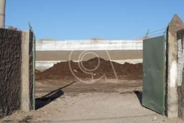 'Mosqueo' en aumento en Melenara y Salinetas (Foto TA)