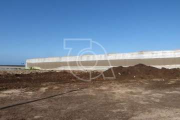 'Mosqueo' en aumento en Melenara y Salinetas (Foto TA)