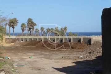 'Mosqueo' en aumento en Melenara y Salinetas (Foto TA)