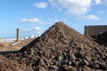 'Mosqueo' en aumento en Melenara y Salinetas (Foto TA)