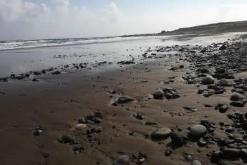  Batida de limpieza en la costa de La Restinga (Foto TA)