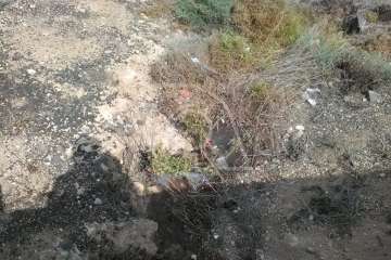 Un vertido de aguas fecales en Los Melones 'amenaza' con llegar a la arena de La Garita (Foto TA)