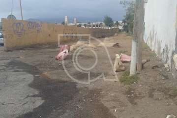 Una obstrucción en la red causa un vertido de aguas fecales en Melenara (Foto TA)