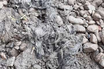 Aguas de Telde 'ataca' la obstrucción que causó un vertido fecal en el Barranco Real (Foto TA)