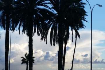 La lluvia de madrugada deja registros de hasta 12 litros por metro cuadrado en Telde (Foto Jesús Ruiz Mesa)
