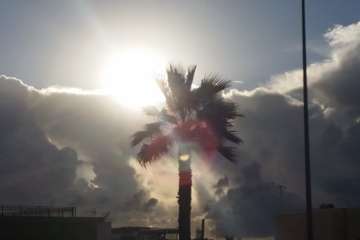 La lluvia de madrugada deja registros de hasta 12 litros por metro cuadrado en Telde (Foto Jesús Ruiz Mesa)