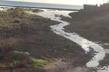 Barranquillo de Ojos de Garza, esta mañana (Foto Gumersindo Hernández)