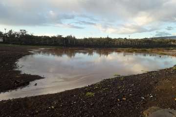 Barranquillo de Ojos de Garza, esta mañana (Foto Gumersindo Hernández)