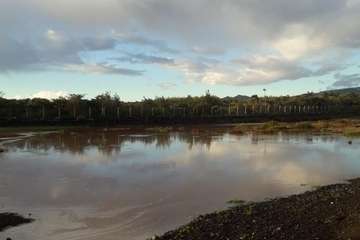 Barranquillo de Ojos de Garza, esta mañana (Foto Gumersindo Hernández)