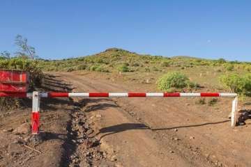 Cabildo y Ayuntamiento reforestan 7,7 hectáreas con 3.515 plantas termófilas (Foto Borja Suárez/C7)