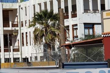 El jardín del CAI Santa Rosalía 'pierde' dos antiguas palmeras canarias (Foto TA)