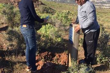 Albiol saca foto de la plantación de Calasio (Foto TA)