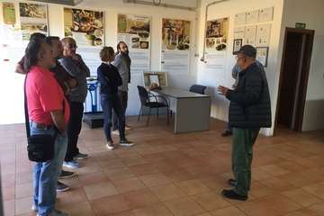 Marina Albiol visitó la almazara del Centro Ecológico y Cultural Los Olivos (Foto TA)